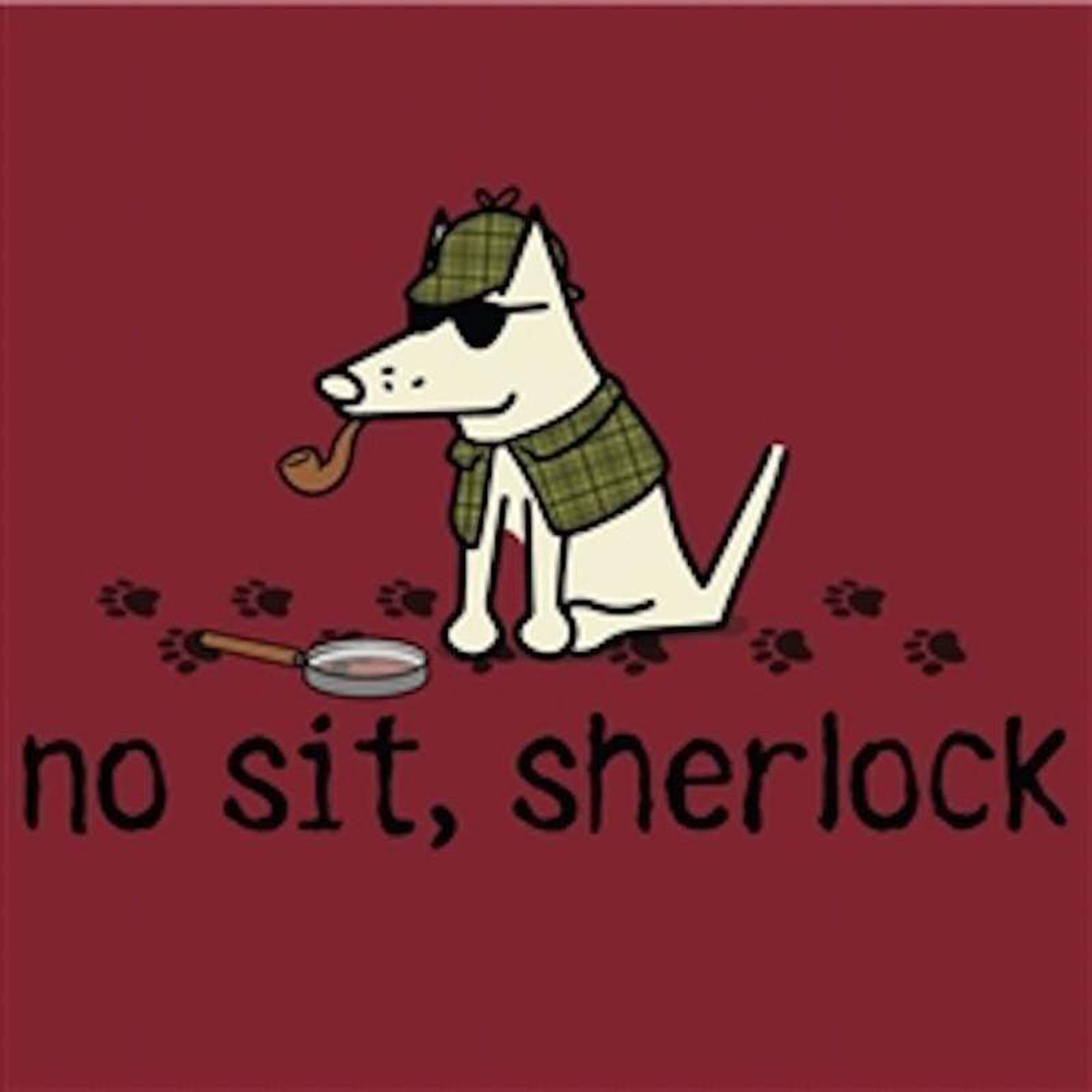 Premium No Sit Sherlock V-Neck Tee - Soft & Stylish